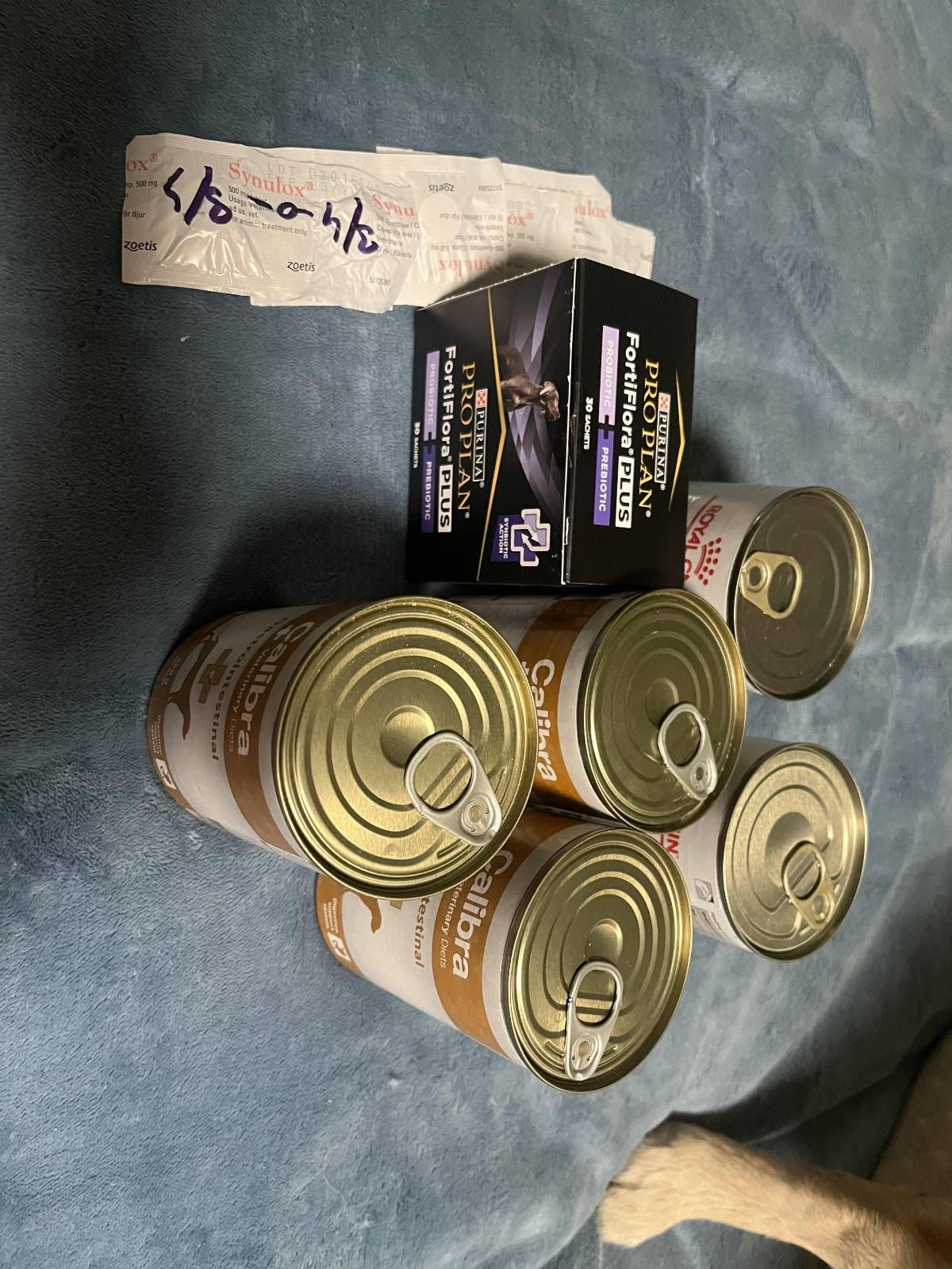 Aureliusovo gastrodieta